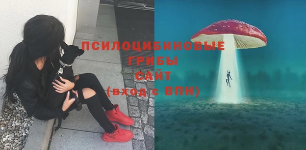 не бодяженный Богородицк