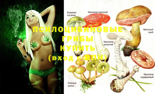 не бодяженный Богородицк
