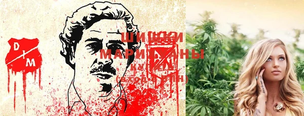 метамфетамин Богданович