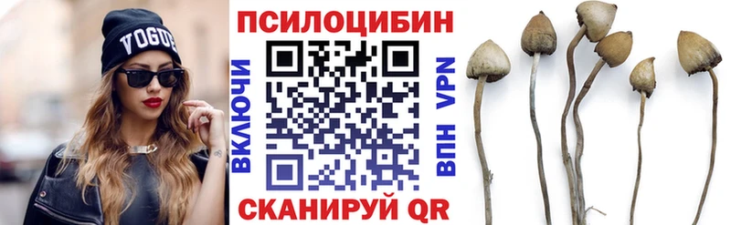 Псилоцибиновые грибы прущие грибы  магазин продажи наркотиков  маркетплейс формула  Щёкино 