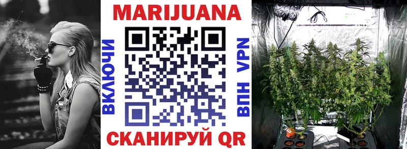 Канабис конопля  Щёкино 